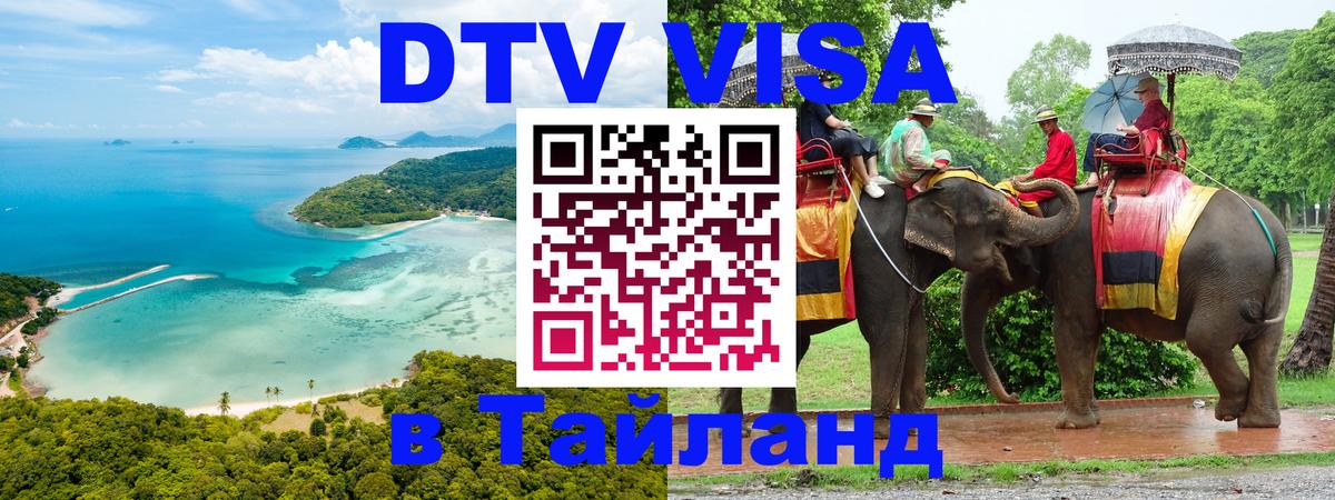 Оформление DTV визы под ключ: стоимость и тарифы, только загранпаспорт - 